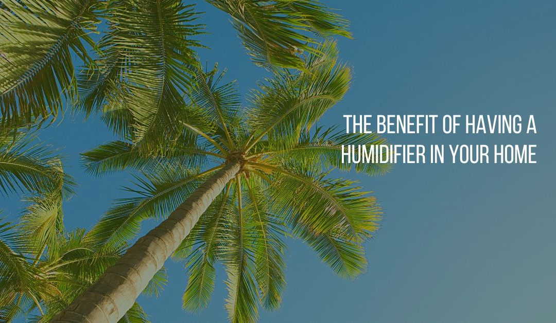 The Benefit Of Having A Humidifier In Your Home